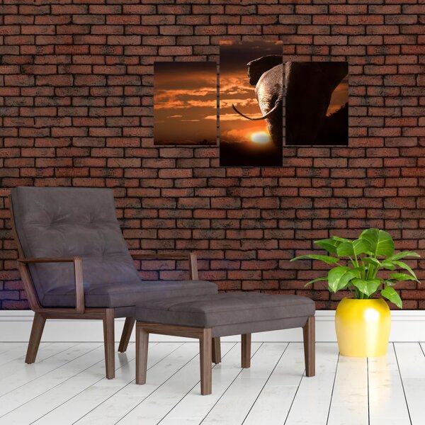 Slika slona (90x60 cm)