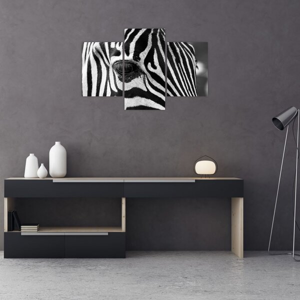 Slika zebre (90x60 cm)