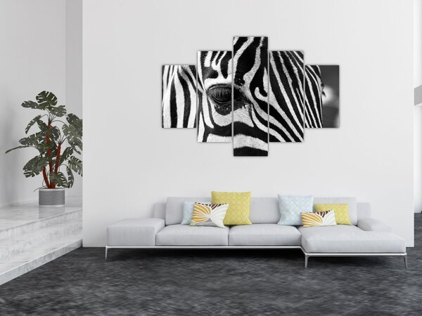 Slika zebre (150x105 cm)
