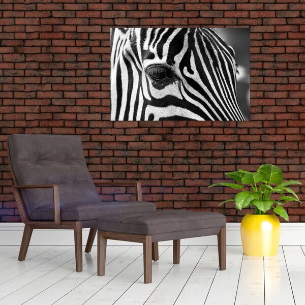 Slika zebre (90x60 cm)