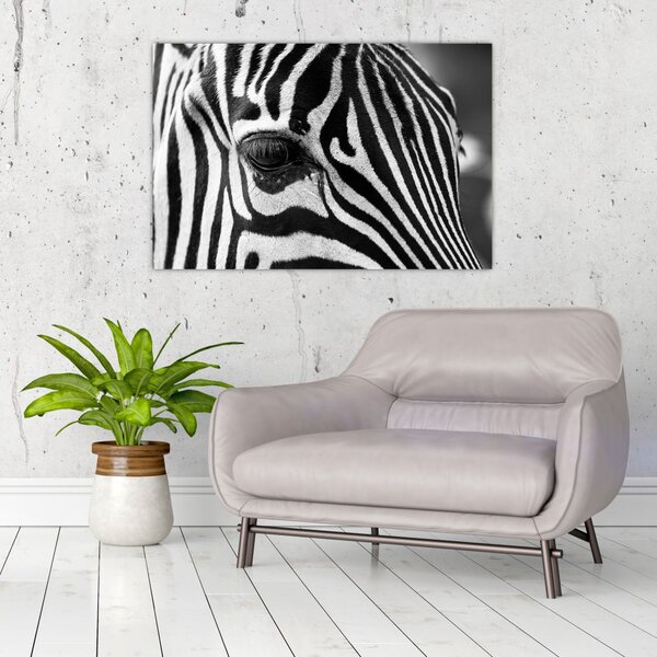 Slika zebre (90x60 cm)