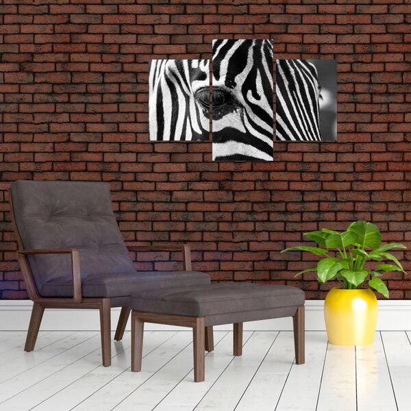 Slika zebre (90x60 cm)