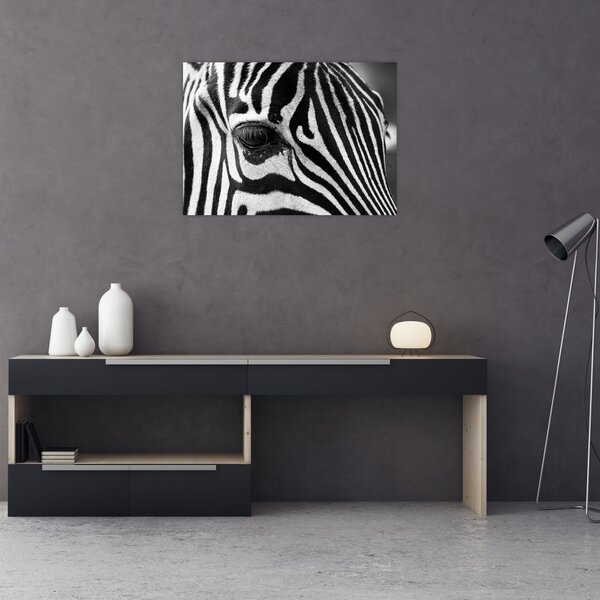 Slika zebre (70x50 cm)