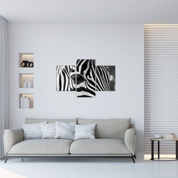Slika zebre (90x60 cm)