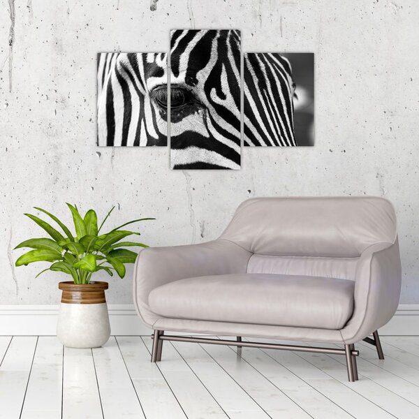 Slika zebre (90x60 cm)