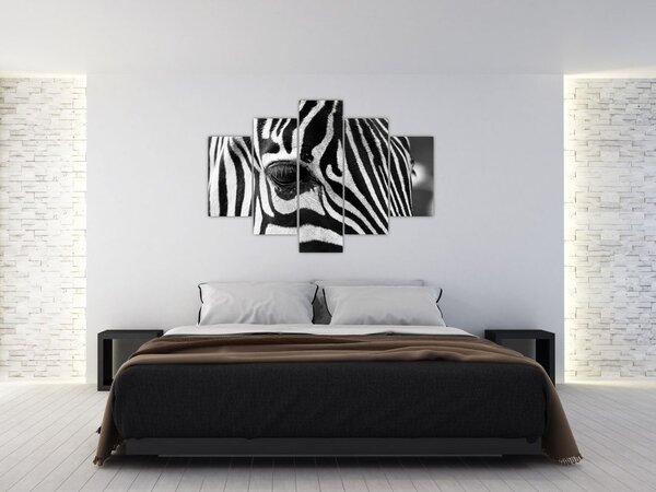 Slika zebre (150x105 cm)