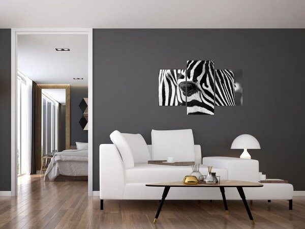 Slika zebre (90x60 cm)