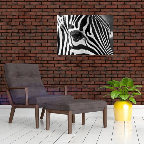 Slika zebre (70x50 cm)