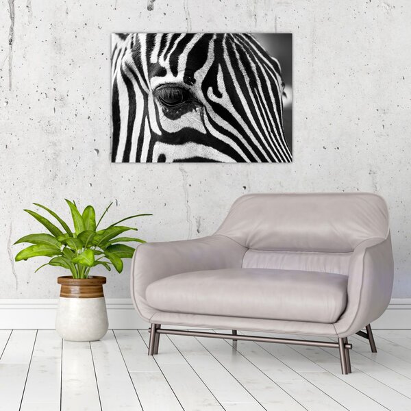Slika zebre (70x50 cm)