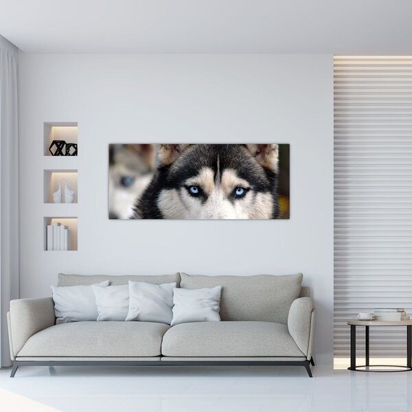 Slika haski psa (120x50 cm)
