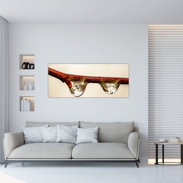 Slika kapljica na grani (120x50 cm)