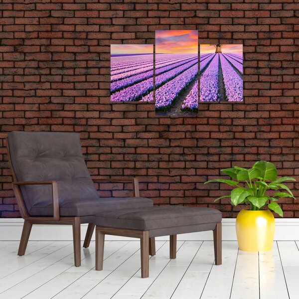 Slika - farma cvijeća (90x60 cm)