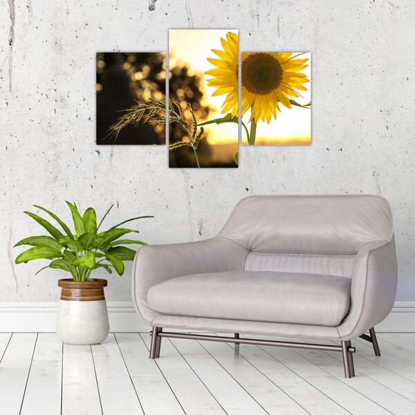 Slika suncokreta (90x60 cm)