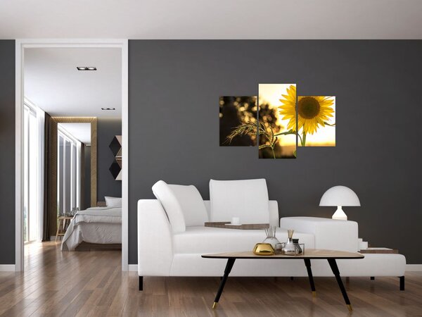 Slika suncokreta (90x60 cm)