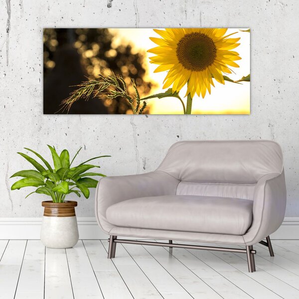 Slika suncokreta (120x50 cm)