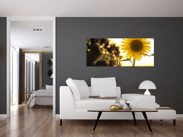 Slika suncokreta (120x50 cm)