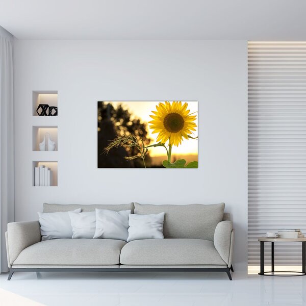 Slika suncokreta (90x60 cm)