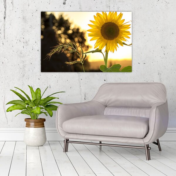 Slika suncokreta (90x60 cm)