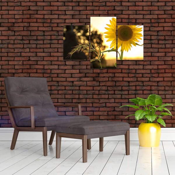 Slika suncokreta (90x60 cm)