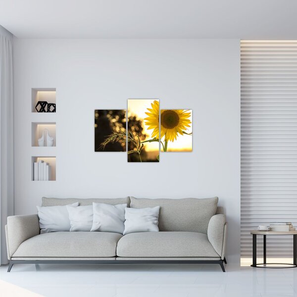 Slika suncokreta (90x60 cm)