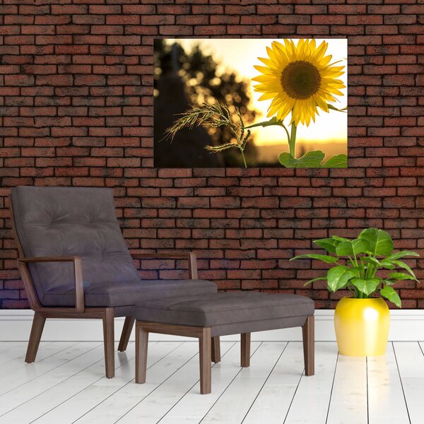 Slika suncokreta (90x60 cm)