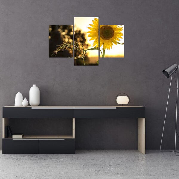 Slika suncokreta (90x60 cm)