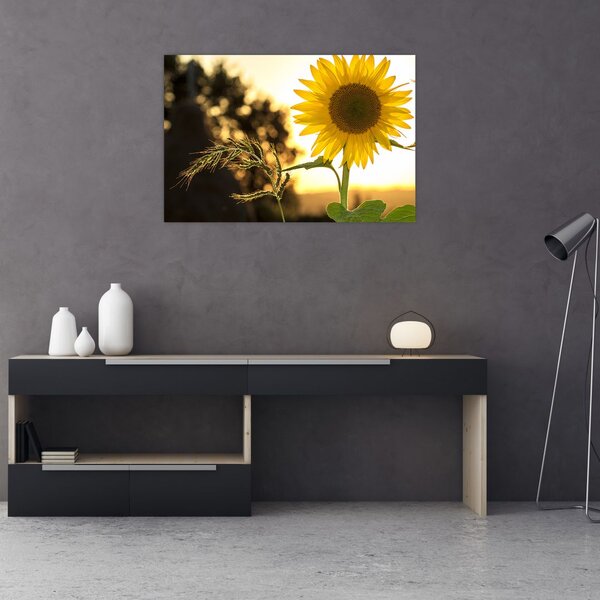 Slika suncokreta (90x60 cm)
