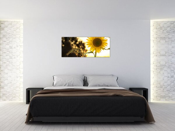 Slika suncokreta (120x50 cm)