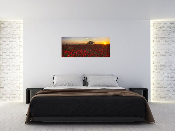 Slika livade s makovima (120x50 cm)