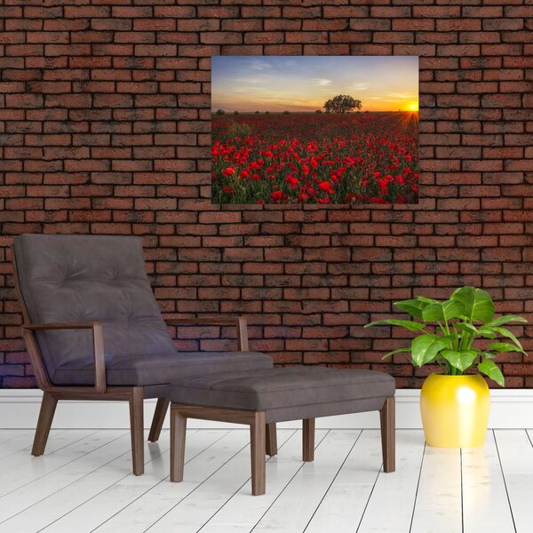 Slika livade s makovima (70x50 cm)