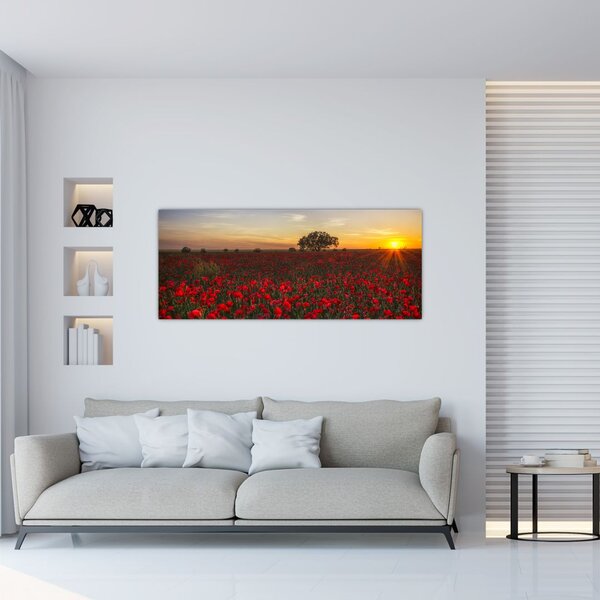Slika livade s makovima (120x50 cm)