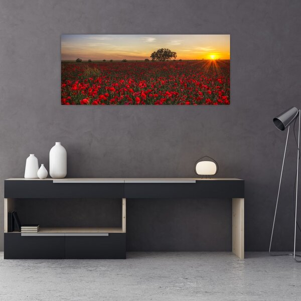 Slika livade s makovima (120x50 cm)