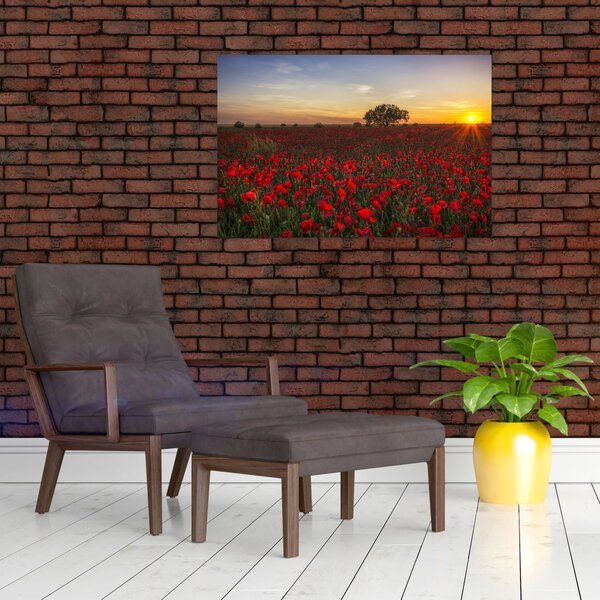 Slika livade s makovima (90x60 cm)