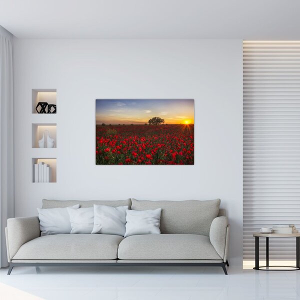 Slika livade s makovima (90x60 cm)