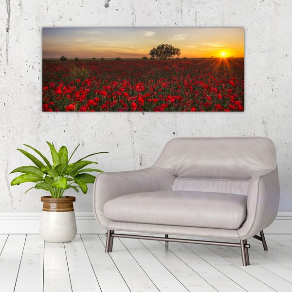 Slika livade s makovima (120x50 cm)