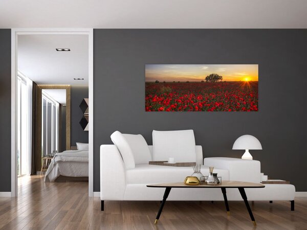 Slika livade s makovima (120x50 cm)