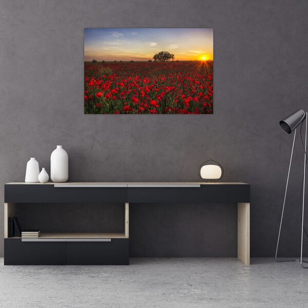 Slika livade s makovima (90x60 cm)
