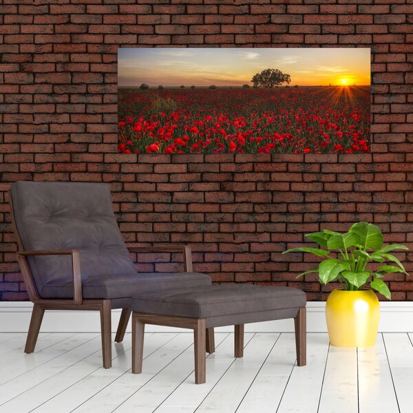 Slika livade s makovima (120x50 cm)