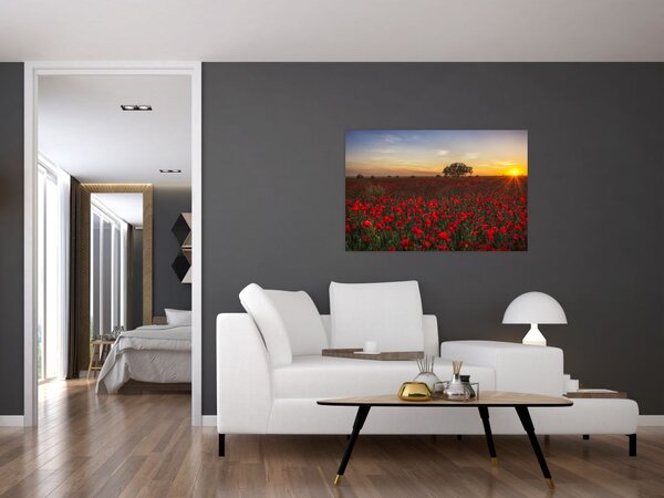 Slika livade s makovima (90x60 cm)