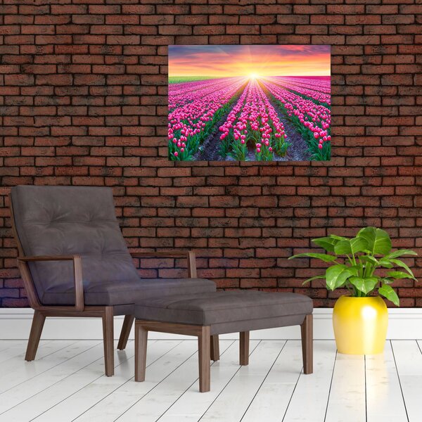 Slika polja tulipana sa suncem (70x50 cm)