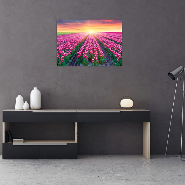 Slika polja tulipana sa suncem (70x50 cm)
