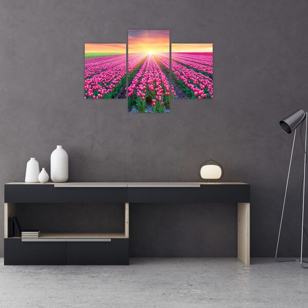 Slika polja tulipana sa suncem (90x60 cm)
