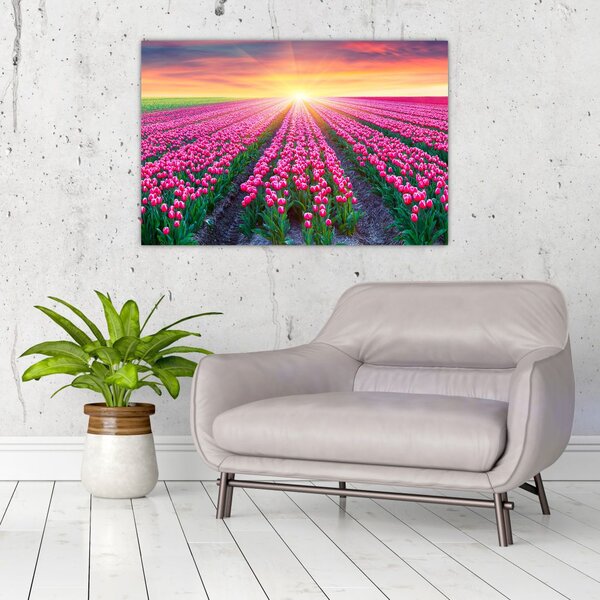Slika polja tulipana sa suncem (90x60 cm)