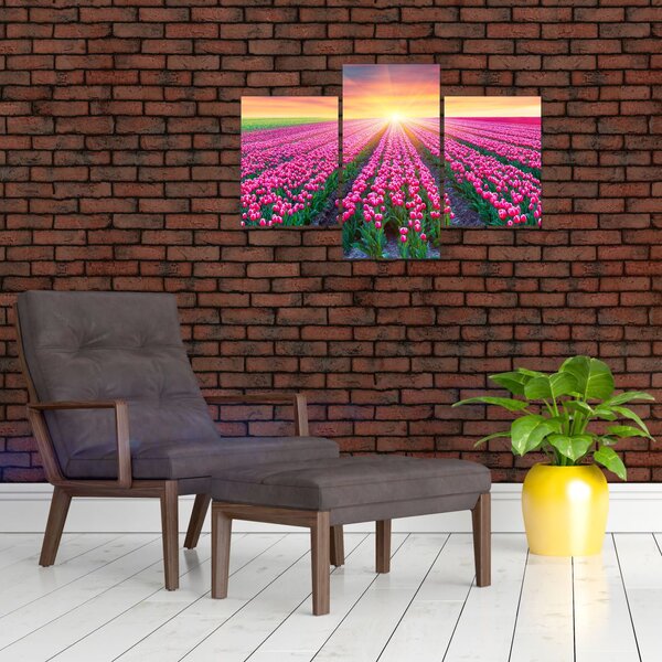 Slika polja tulipana sa suncem (90x60 cm)