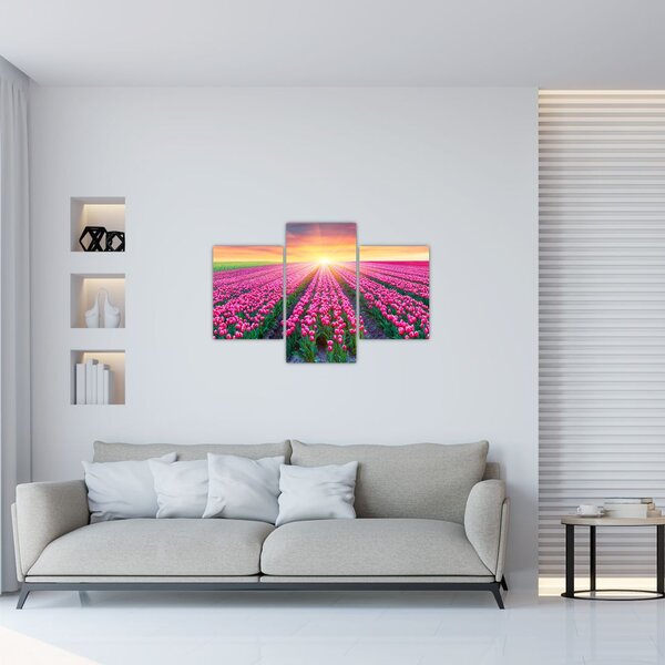Slika polja tulipana sa suncem (90x60 cm)