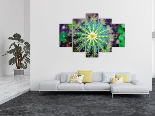 Slika kaktusa (150x105 cm)
