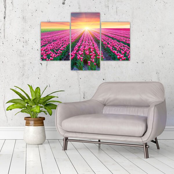 Slika polja tulipana sa suncem (90x60 cm)