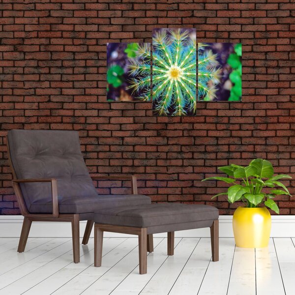 Slika kaktusa (90x60 cm)