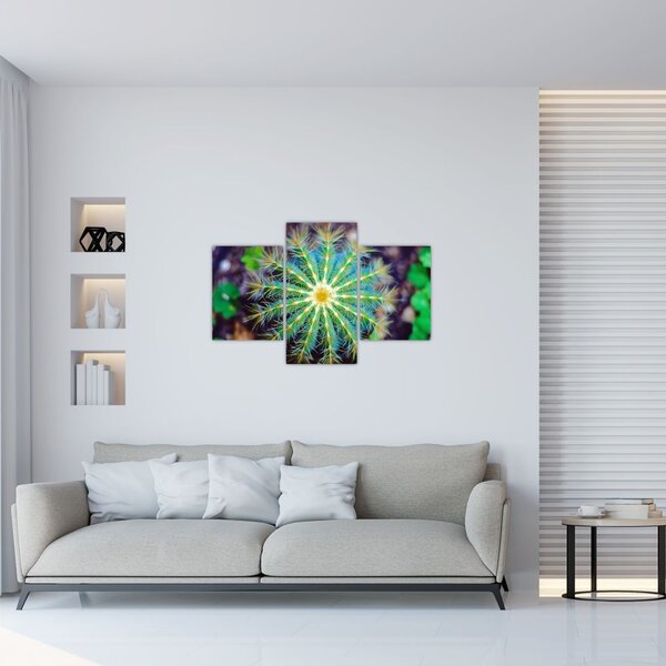 Slika kaktusa (90x60 cm)