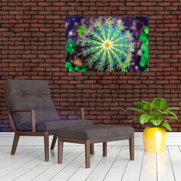 Slika kaktusa (90x60 cm)